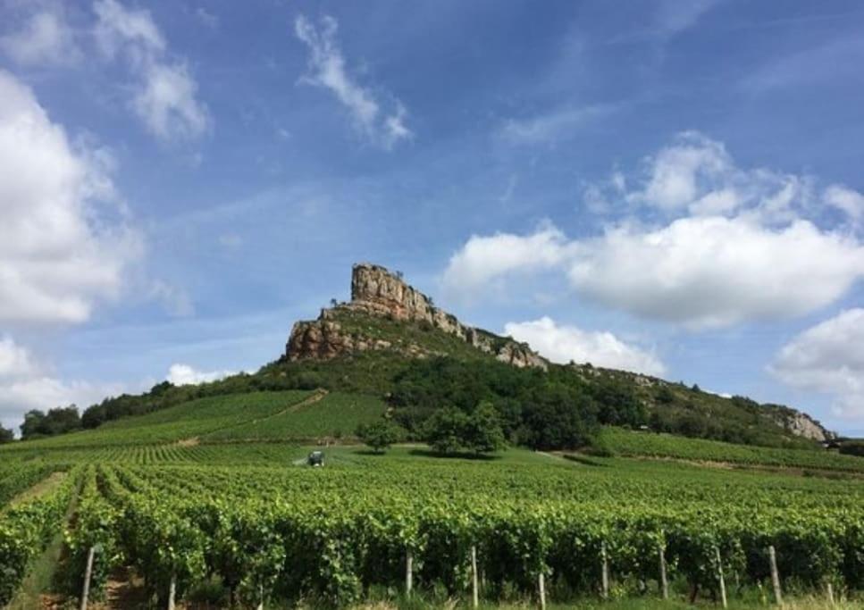 Sejour Detente Au Coeur De Macon Spa,Cine,Bouteille Offerte Mâcon Exterior foto